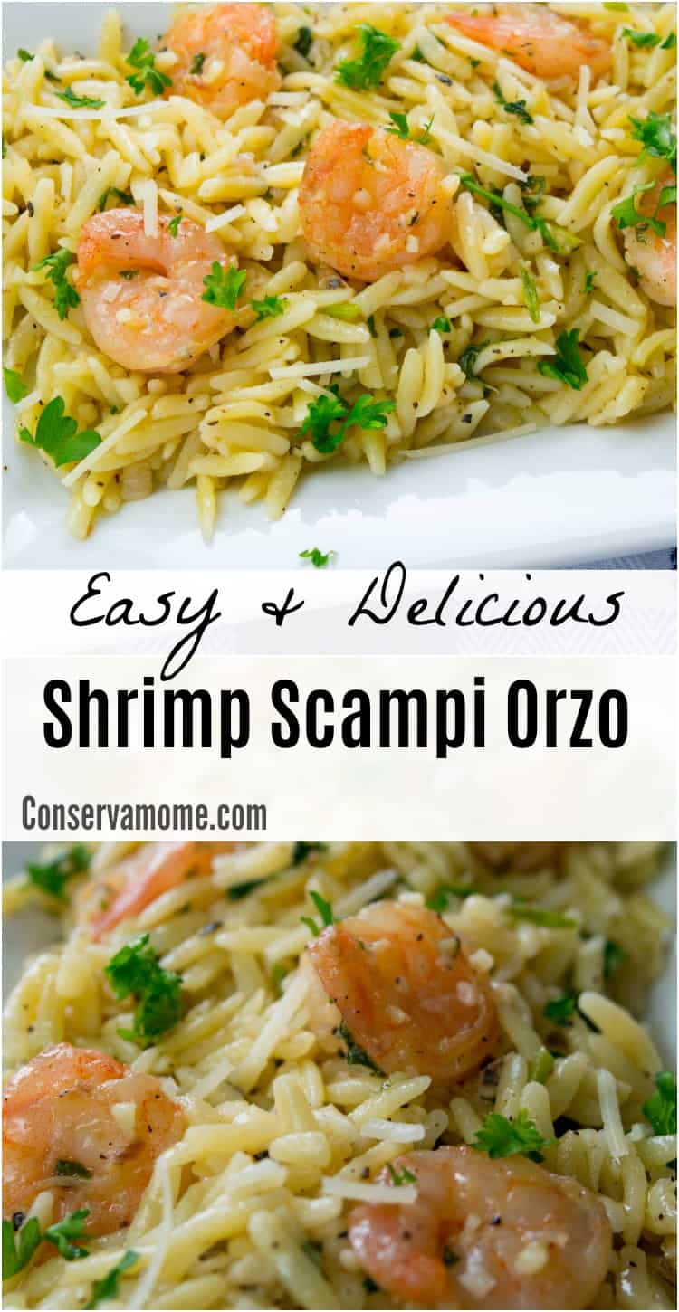 Easy Shrimp scampi orzo