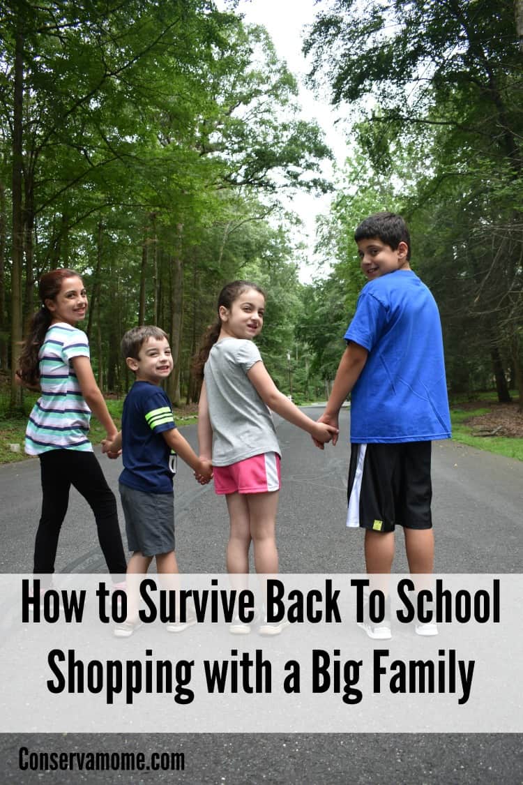 Here are some fun tips to help you survive back to school shopping with a big family. 