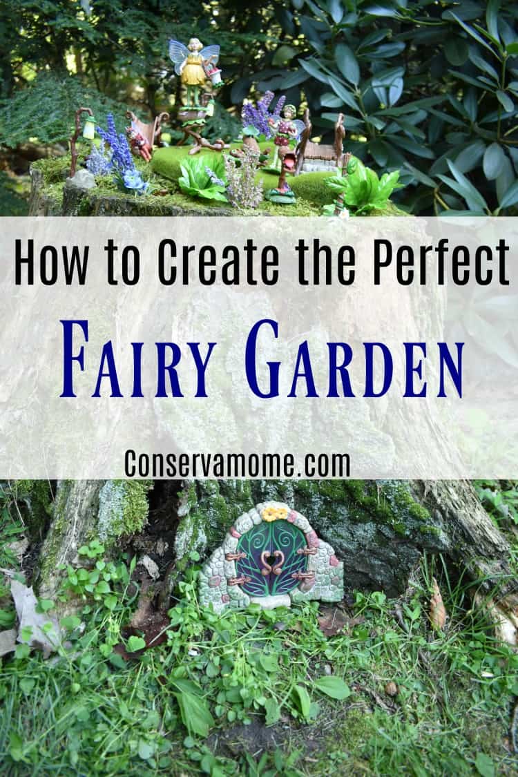 Creating the perfect fairy garden just got easier. Find out tips and treats to create the perfect Fairy Garden. 