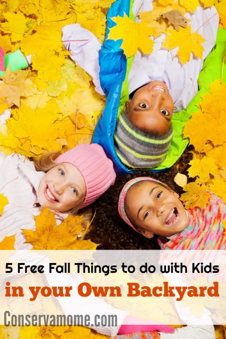 Conservamom 5 Free Fall Things To Do With Kids In Your Own Backyard Conservamom