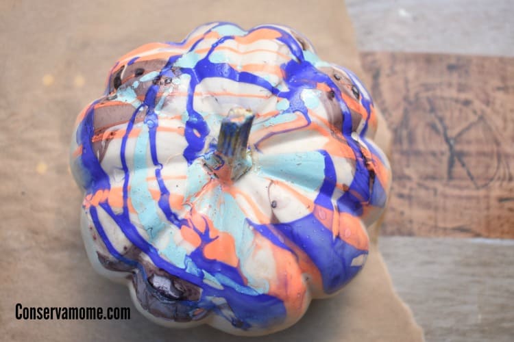 marbled pumpkin