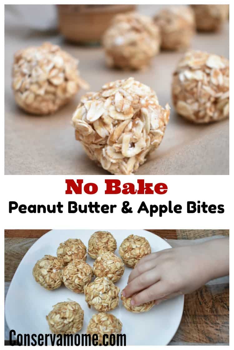 These Easy No Bake Peanut Butter & Apple Bites are not only absolutely delicious but a healthy snack for the whole family. Find out how easy it is to make them! 