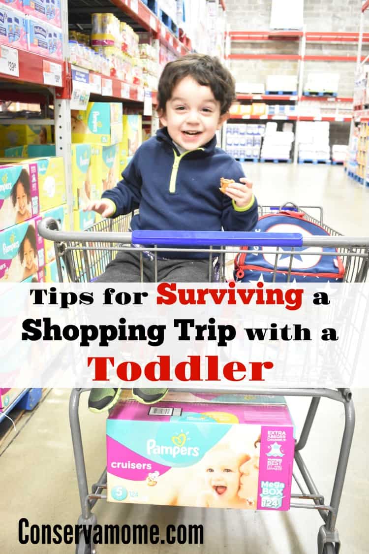 Toddlers can be a handful and taking them shopping can be an experience. Here are some Tips for Surviving a Shopping Trip with a Toddler .