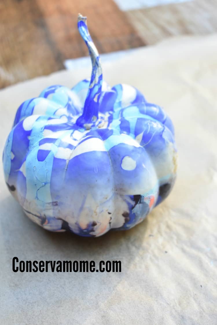 marbled pumpkin