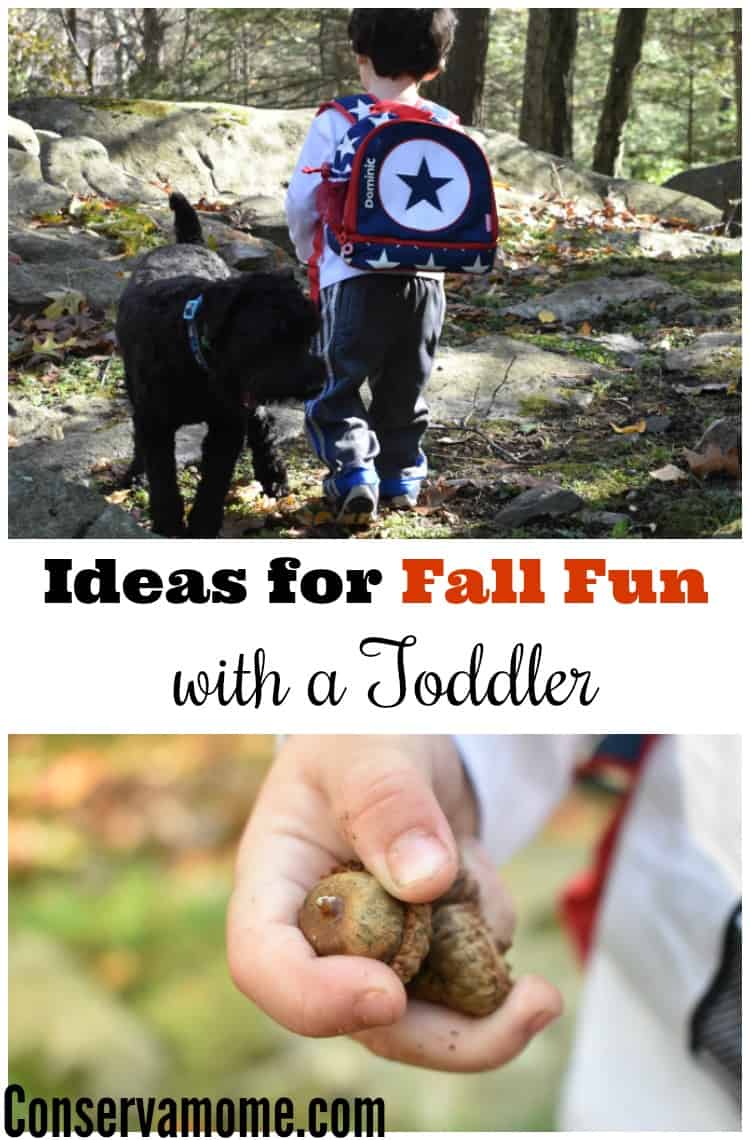 Just because the weather is cooler doesn't mean it's time to head indoors. There's still fun to be had! Check out Ideas for Fall Fun with a Toddler. 