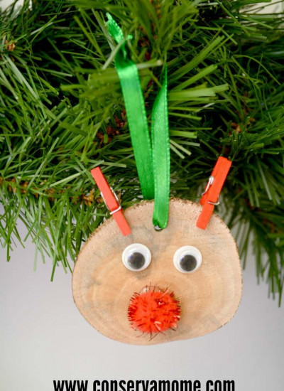 Rudolph Wood slice ornament