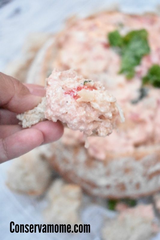 Chicken Parm Dip Easy & Delicious Party Appetizer ConservaMom