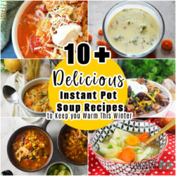 10+ Delicious Instant Pot Soup Recipes to Keep you Warm This Winter