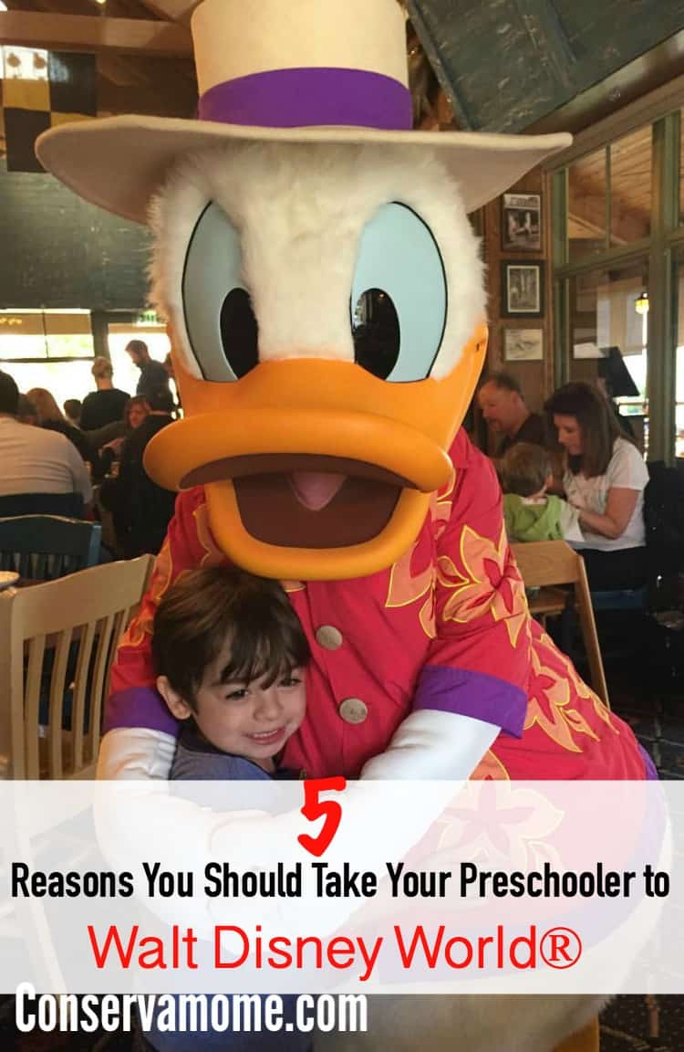 Going on a trip with a Preschooler can be tough. Now is the perfect time to head to Disney World with them. Find out 5 Reasons You Should Take Your Preschooler to Walt Disney World