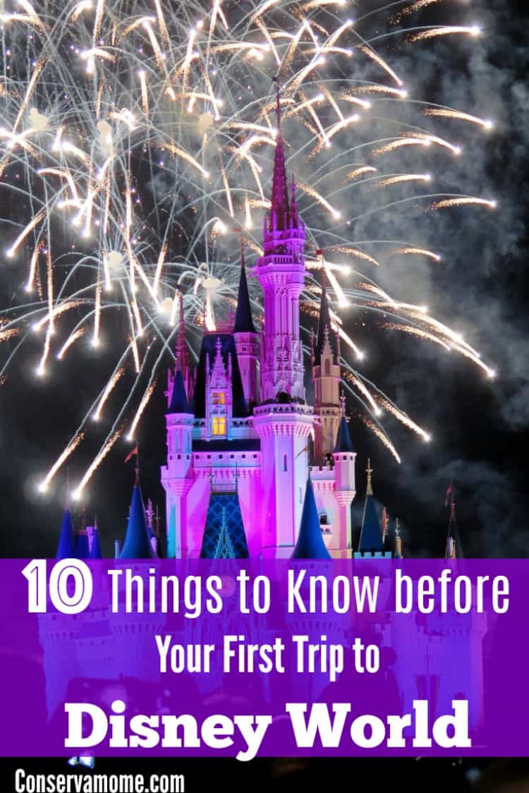 Heading to Disney World for the first time? Here are 10 Things to Know before Your First Trip to Disney World! 