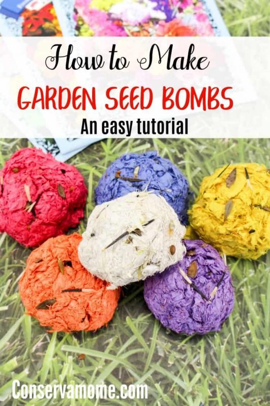 How To Make Garden Seed Bombs Conservamom 0322