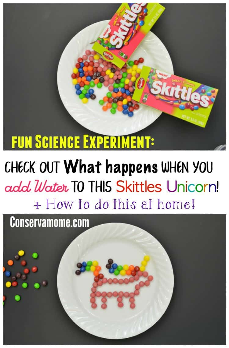 Check out this Skittles Unicorn: A fun Science Experiment that isn't just a blast to watch but awesome for your kids to learn about the way Science works!