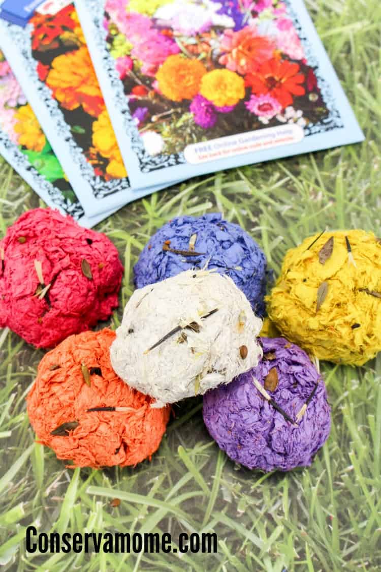 Have you ever wanted to know how to make garden seed bombs? Here's your chance! This fun and easy tutorial will be the perfect project for you and your kids this spring. 