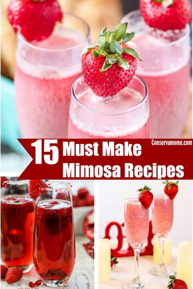 This delicious round up of 15 Must Make Mimosa Recipes will pair wonderfully with any fun event, brunch or party! Make your own Mimosa bar for an even funner time!