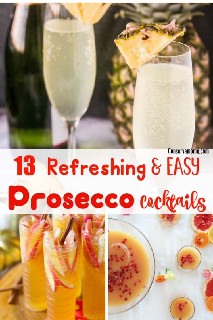 Check out 13 Refreshing & Easy Prosecco Cocktails to make any meal a delicious hit. 