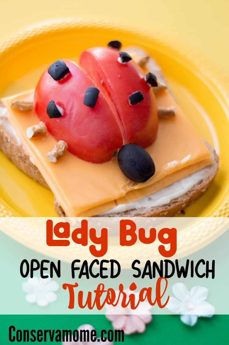 Get creative with this fun and easy to make Lady bug Open Faced Sandwich tutorial that will be a hit with your little (and big) kids! It's the perfect creative sandwich idea for kids.