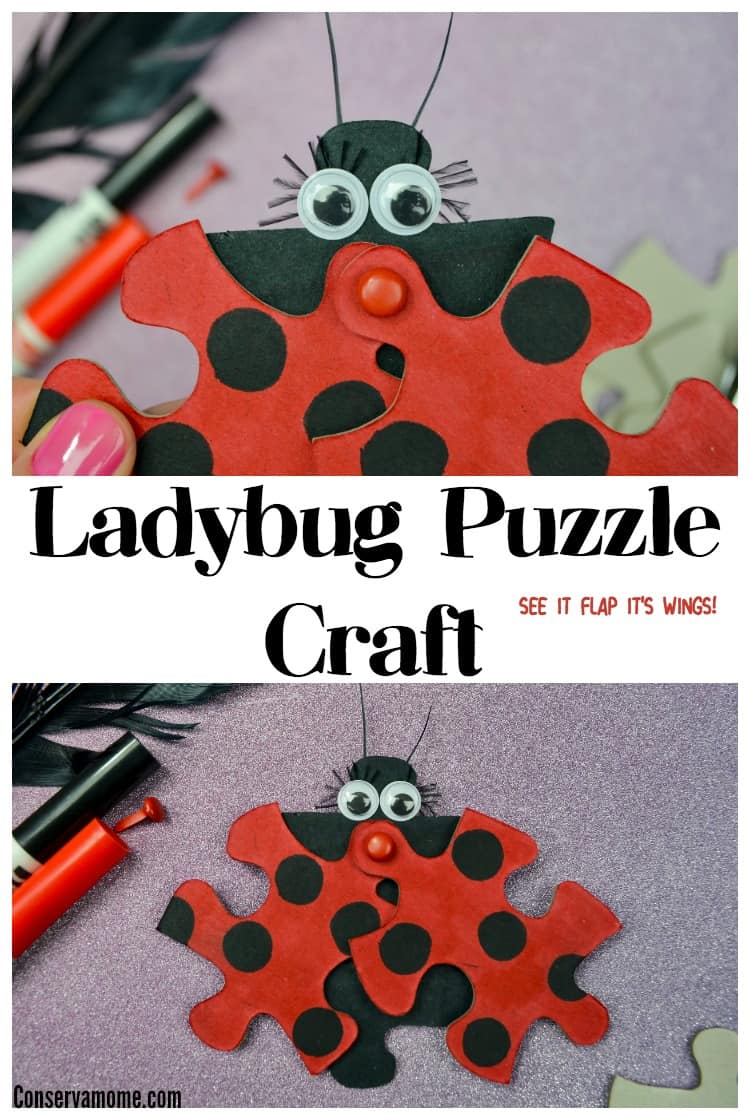 This fun Ladybug Puzzle Craft will be a huge hit with your kids. Best of all you'll only need a few items to make this moveable little friend!