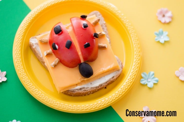 Get creative with this fun and easy to make Lady bug Open Faced Sandwich tutorial that will be a hit with your little (and big) kids! It's the perfect creative sandwich idea for kids.