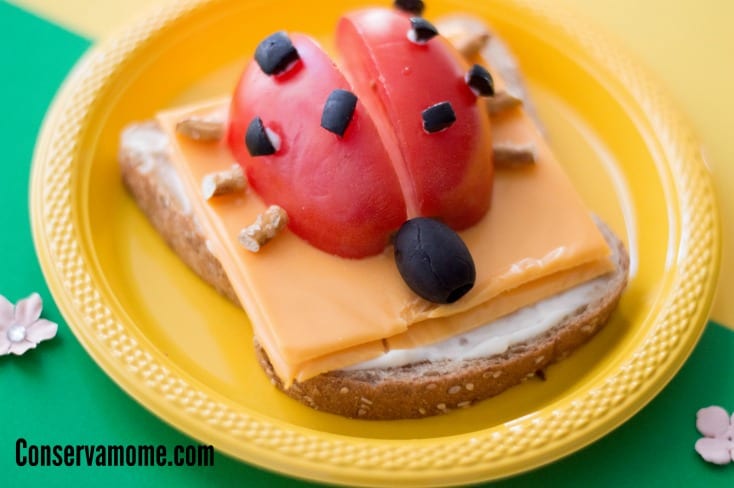 Get creative with this fun and easy to make Lady bug Open Faced Sandwich tutorial that will be a hit with your little (and big) kids! It's the perfect creative sandwich idea for kids.