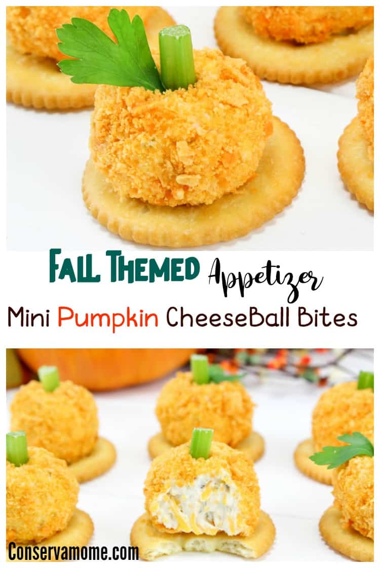 Fall Appetizer