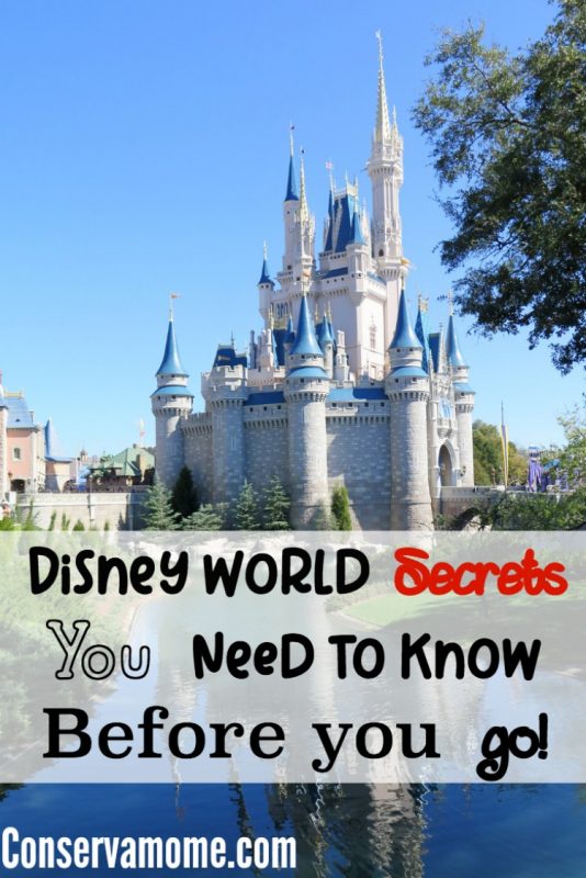 Disney World Secrets you need to know before you go - ConservaMom