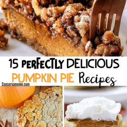 delicious pumpkin pie recipes