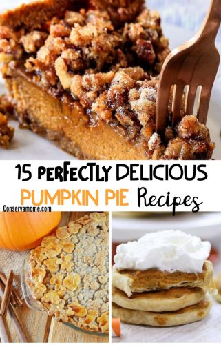 15 Perfect Delicious Pumpkin Pie Recipes