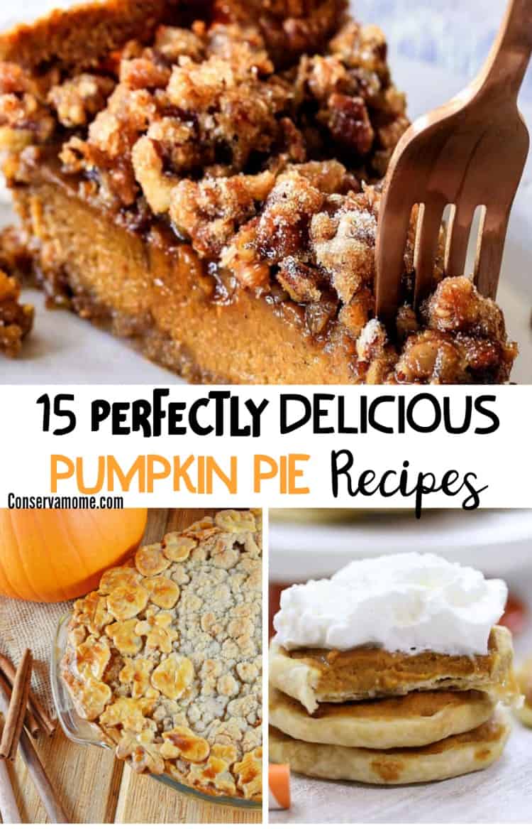 ConservaMom - 15 Perfect Delicious Pumpkin Pie Recipes - ConservaMom