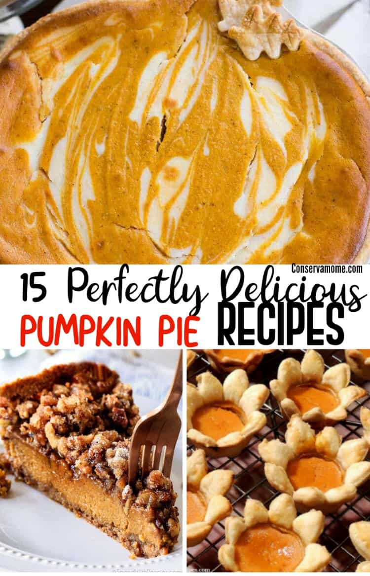 Delicious Pumpkin Pie recipes