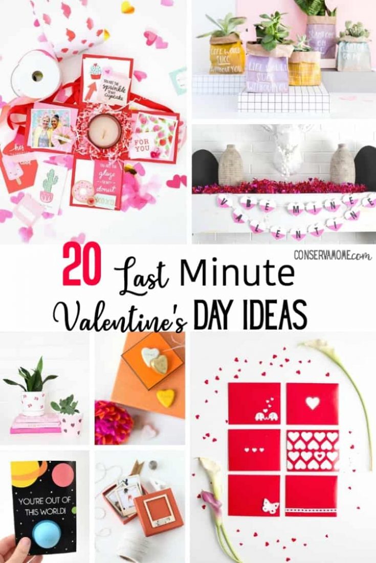 20 Last Minute Valentine's Day ideas - ConservaMom