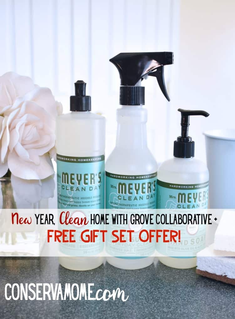 ConservaMom New Year, Clean Home with Grove