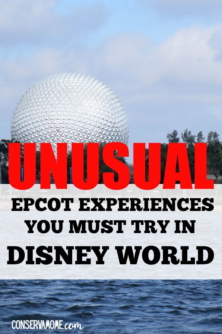 Epcot Center