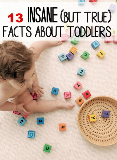 Facts about toddlers