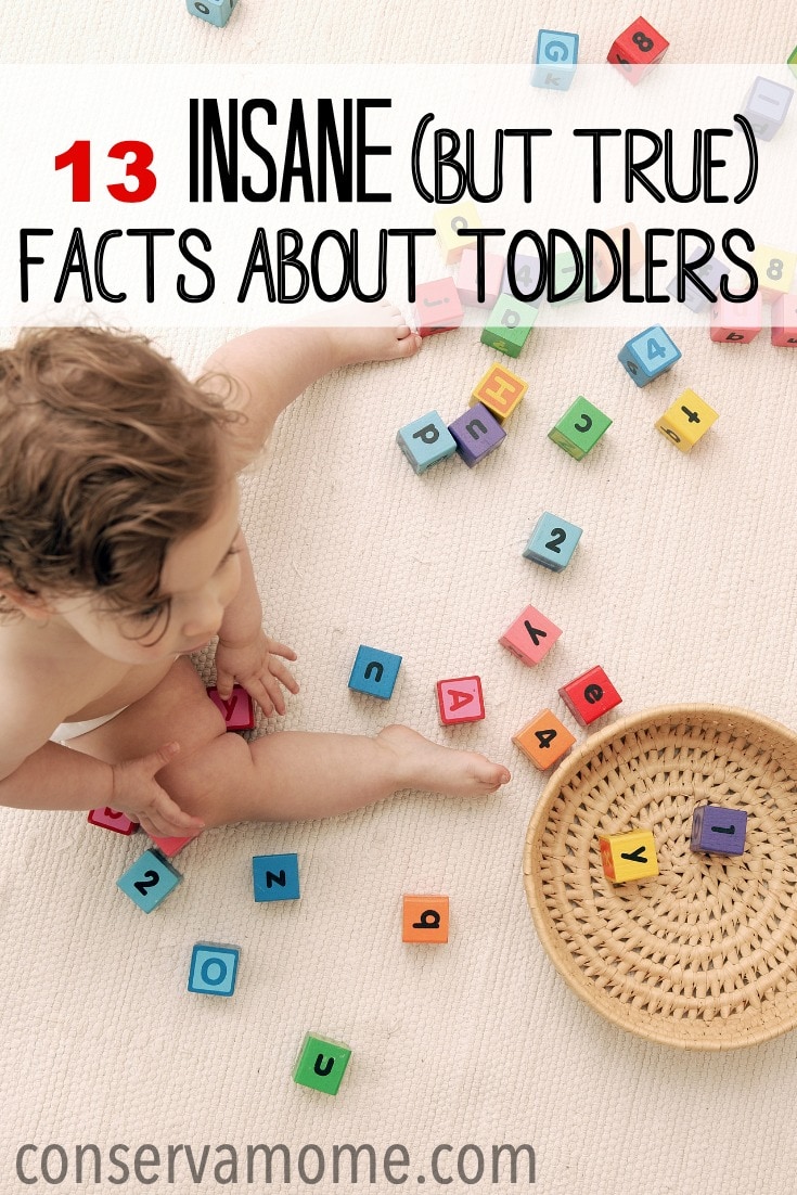 Does your toddler baffle you? Understanding toddlers can be tough. Especially when half of the things they do have no rhyme or reason. That's why I've put together a list of 13 insane (but true) facts about Toddlers to help you understand why they do what they do. 