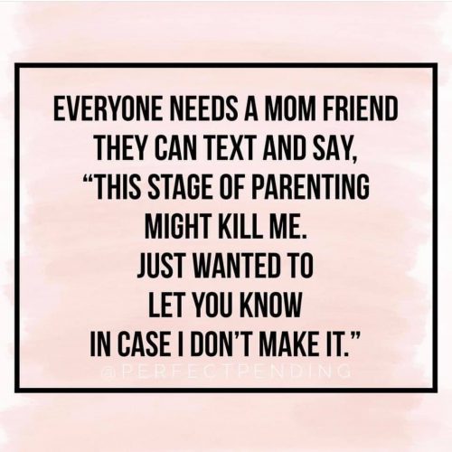 20 Funny Memes that Sum up How hard it is to make Mom Friends