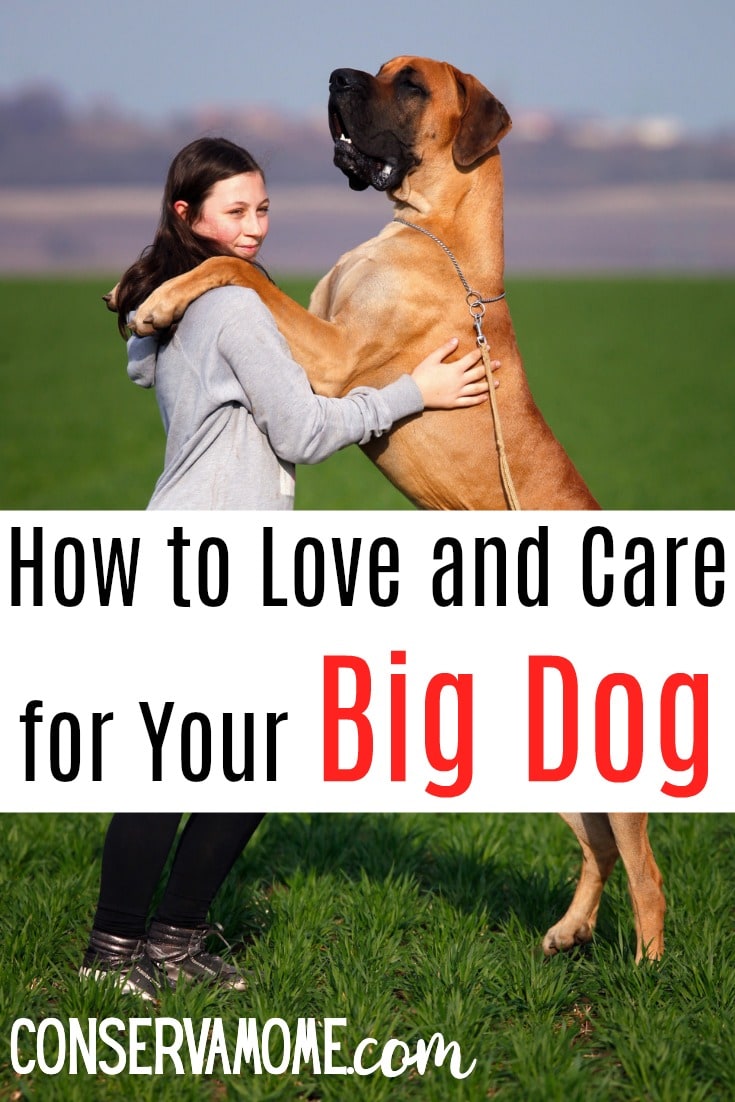 ConservaMom How to Love and Care for Your Big Dog ConservaMom