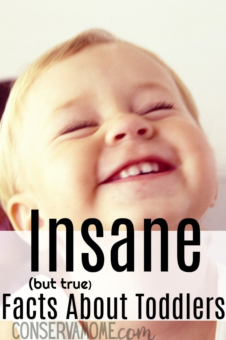 Insane but true facts about toddlers