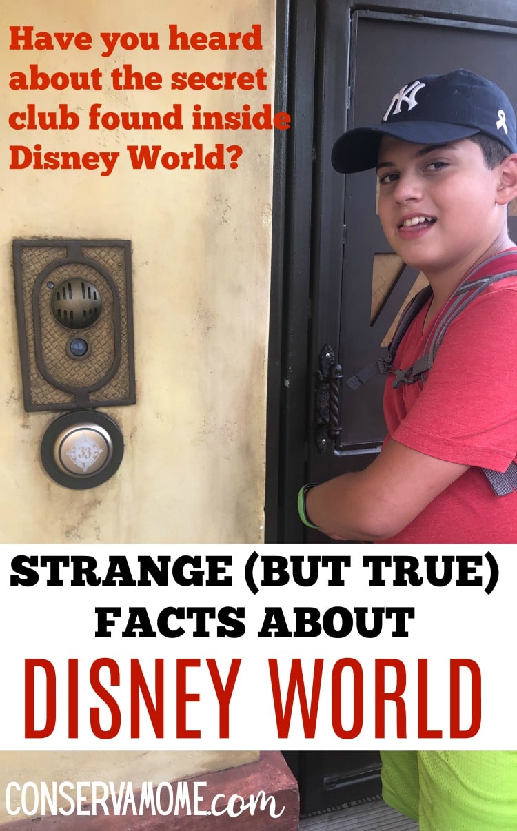 secret club at Disney World