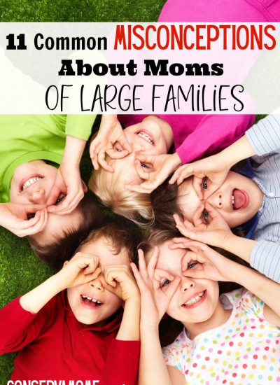 misconceptions about moms of large families