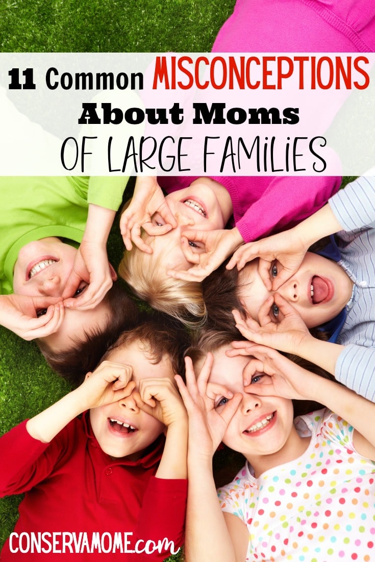 misconceptions about moms of large families