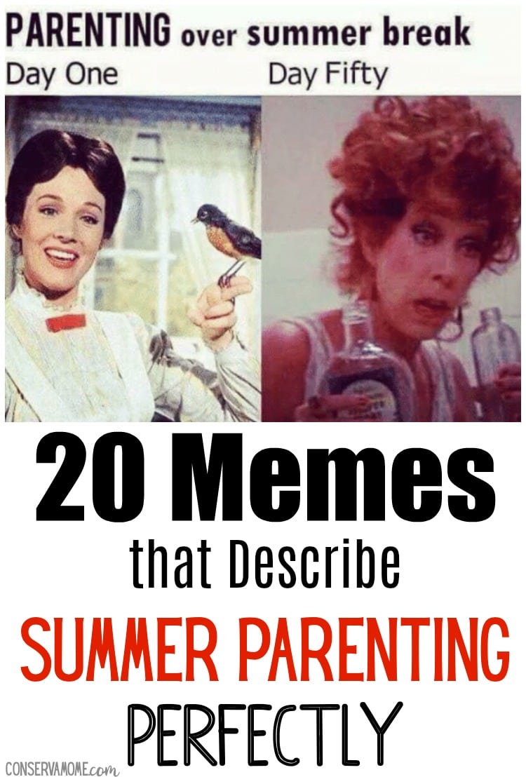 20 Memes that Describe Summer Parenting perfectly - ConservaMom