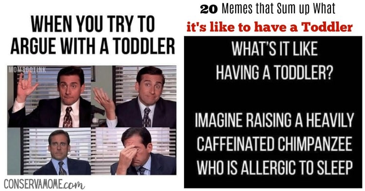 20 Toddler Memes that Sum up What it's like to have parent a ...