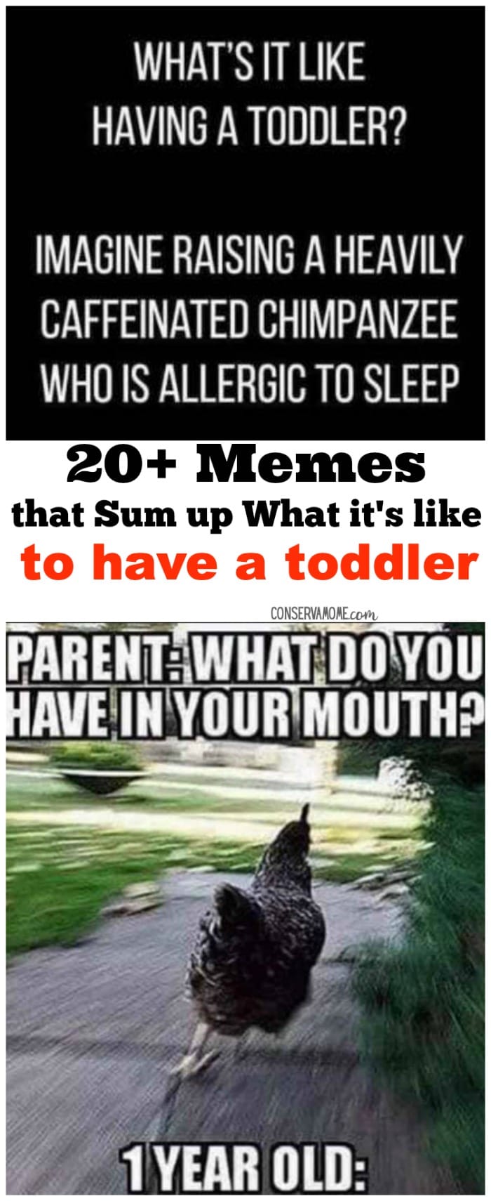 Conservamom Toddler Memes That Sum Up What It S Like To Have Parent A Toddler