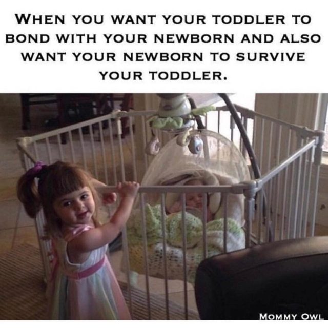 funny Toddler Meme