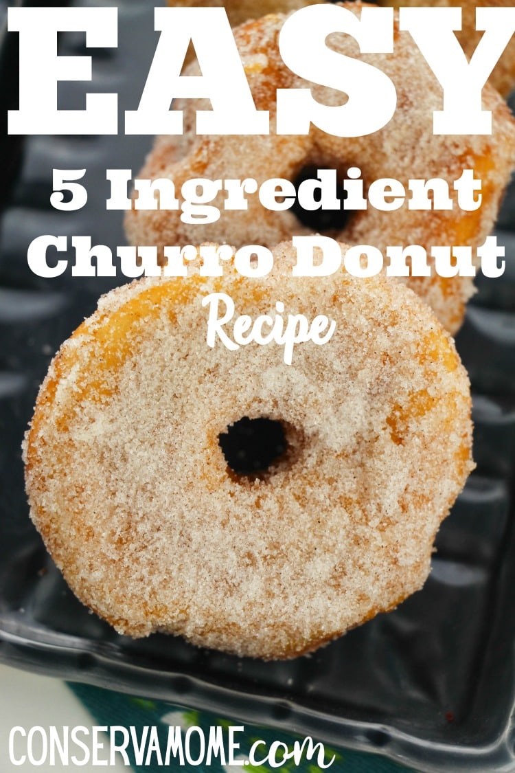 Easy 5 Ingredient Churro Donut recipe