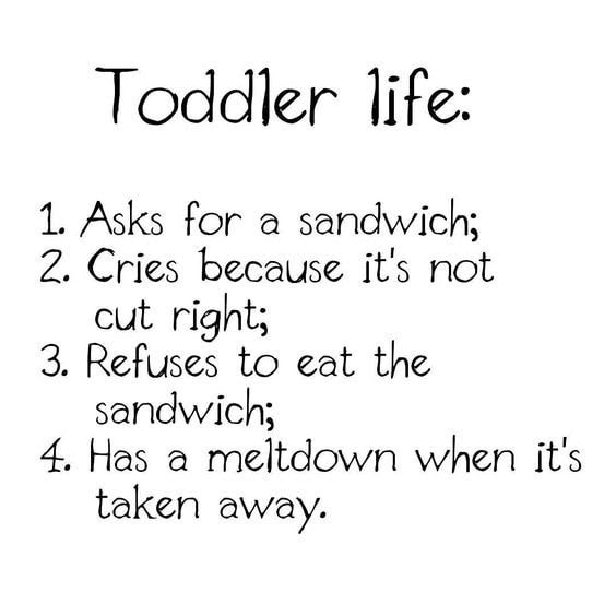 funny Toddler Meme