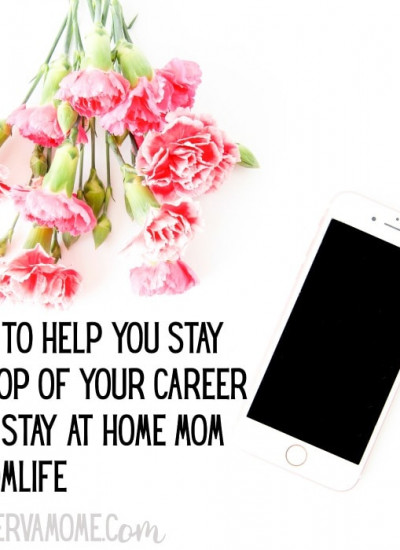 Stay at home mom with career