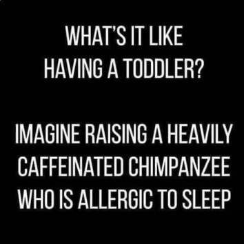 funny Toddler Meme