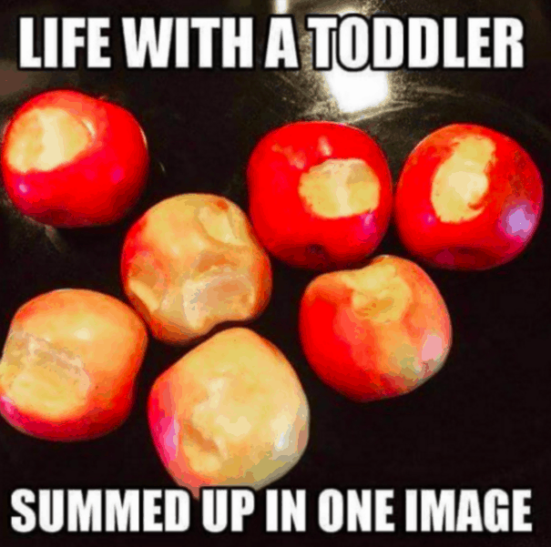 Toddler Meme