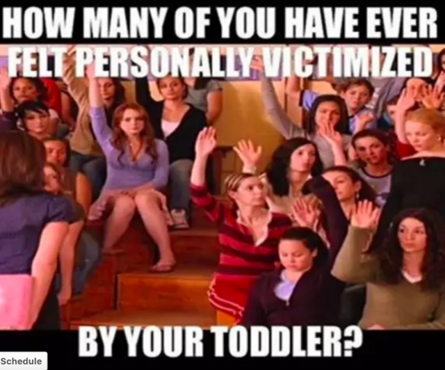 Toddler meme